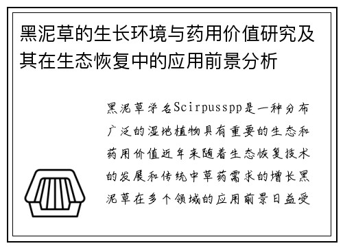 黑泥草的生长环境与药用价值研究及其在生态恢复中的应用前景分析